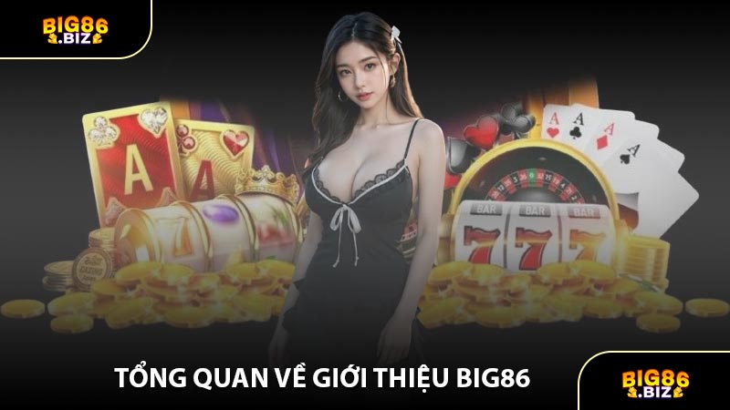 Tổng Quan Về Giới Thiệu BIG86